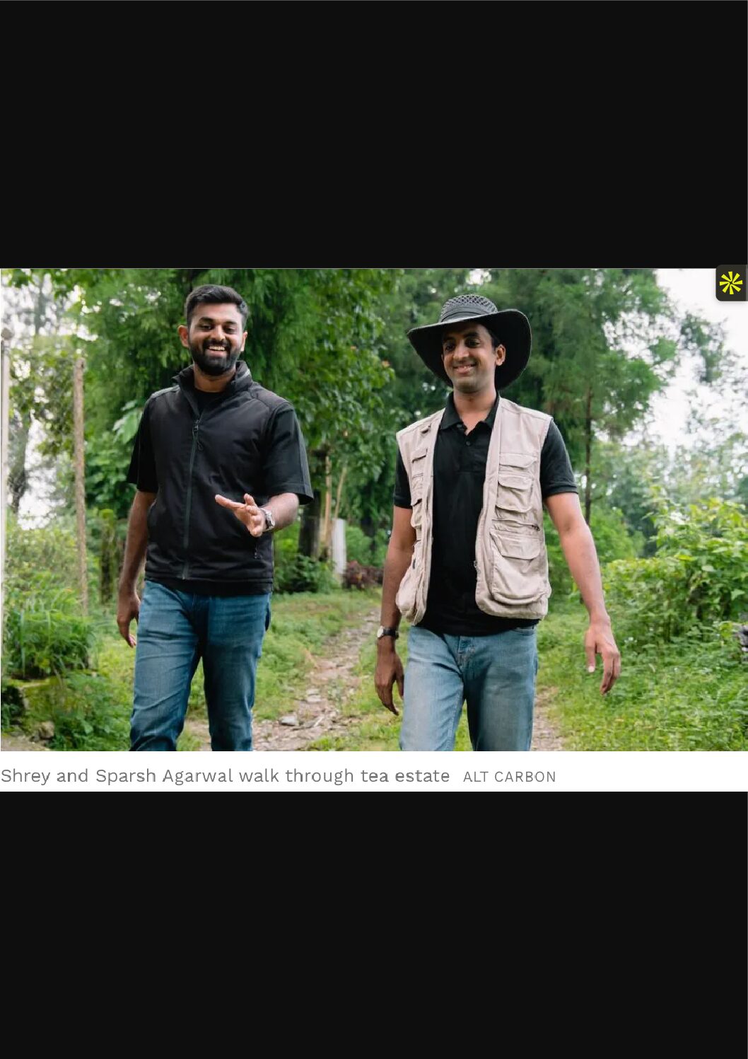 How these brothers harnessed the carbon market to rescue India’s tea plantations